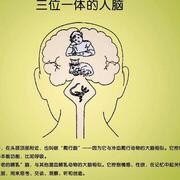 151让大脑提高吸收消化知识能力的诀窍一