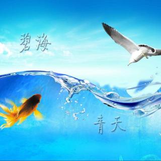 《世界上最远的距离 鱼和鸟的爱情故事》合诵：静鸥-默然