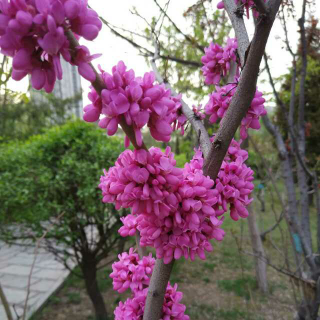 3.6期望其实是一种负面能量