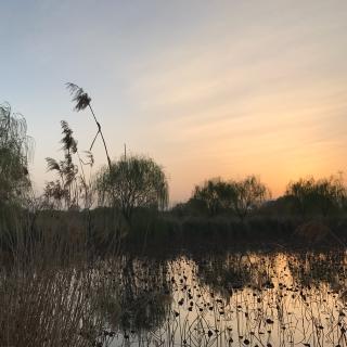 时光静好，岁月平安～沉淀