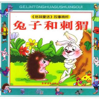 45💕启蒙幼儿园绘本故事《野兔和刺猬》