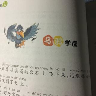 乌鸦学鹰