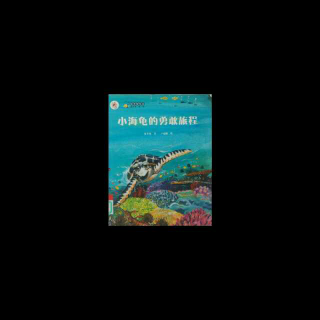 绘本《小海龟的勇敢旅程》
