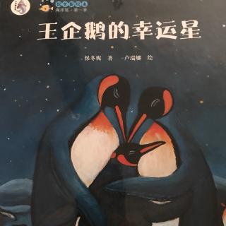 雁子妈妈讲故事《王企鹅🐧的幸运星》