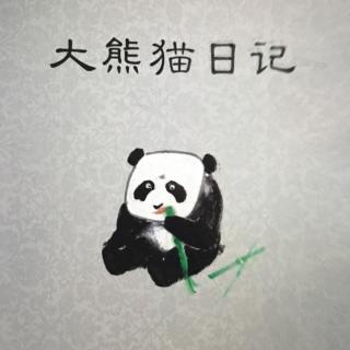 大熊猫日记