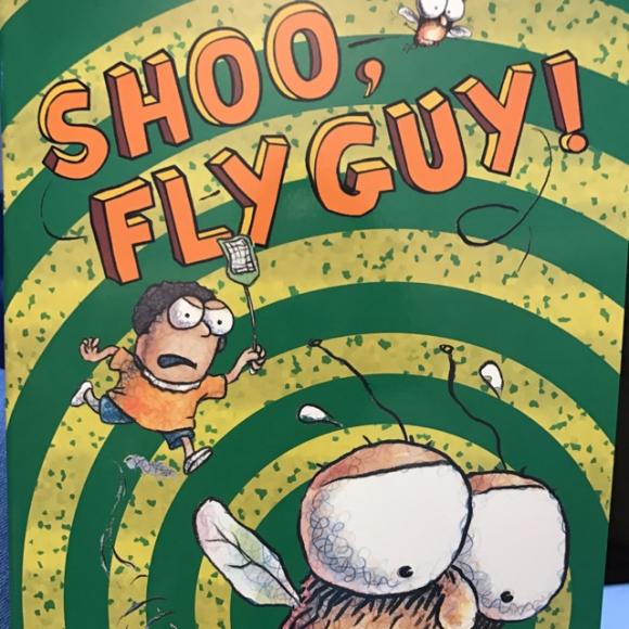 shoo fly guy