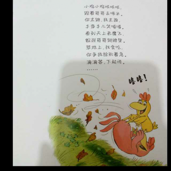 小鸡歌