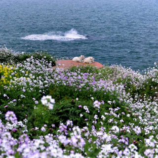 面朝大海 春暖花开