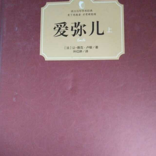 爱弥儿(05)孩子为什么哭？孩子为什么变得蛮横？