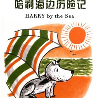 为爱朗读 第6期 《哈利海边历险记》