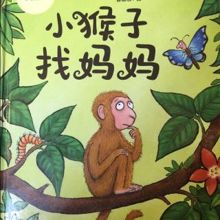 绘本故事：小猴子🐵找妈妈