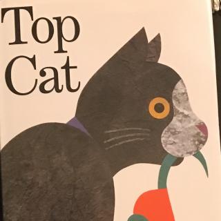Top Cat(by Moon)20170423