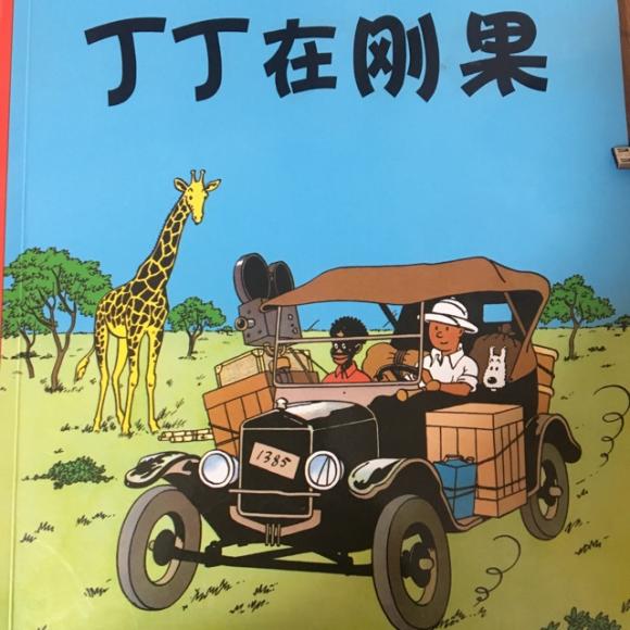 丁丁在刚果2