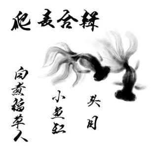 头目（小鱼缸）爬麦合辑 共五次爬麦 这么久居然只有五次