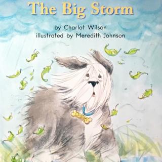 G1 book69 The big storm