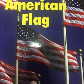 The American Flag