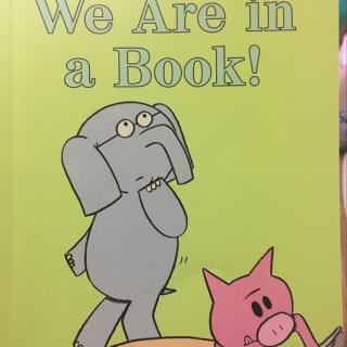 we are in a book