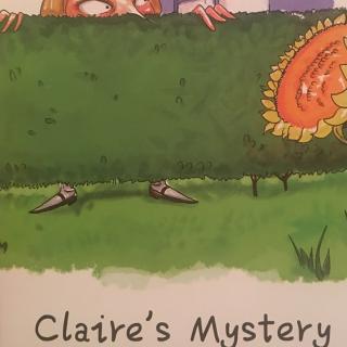 Claire's Mystery