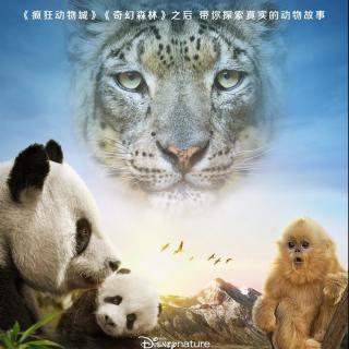 《我们诞生在中国》：没景甜的中国电影挂满了美国的大银幕