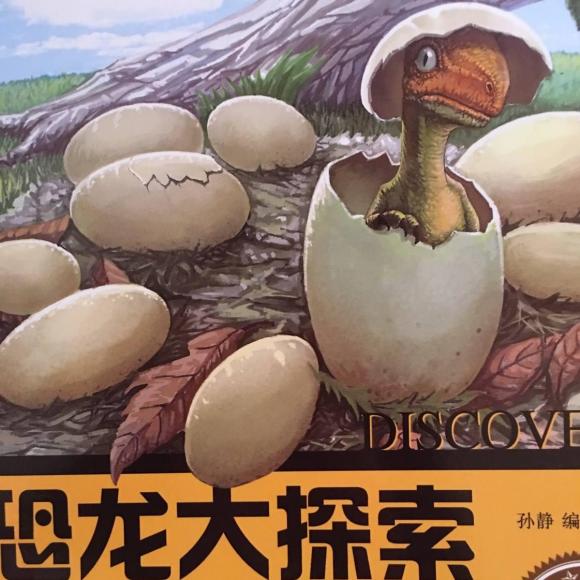 恐龙大探索(7)