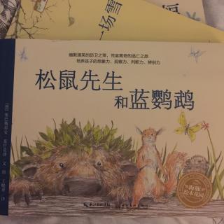 松鼠先生和蓝鹦鹉（海豚绘本花园）