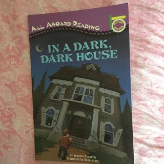 In A Dark Dark House