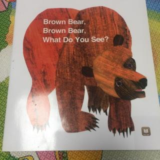 brown brown bear what do you see