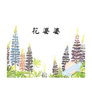 【绘本故事362】——《花婆婆》