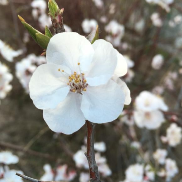 趙晉含《孩子 我希望你自始至終都是一個理想主義者》