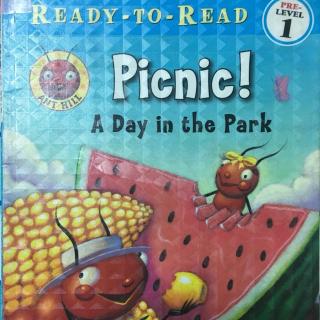 Picnic! A day in the park 20170426