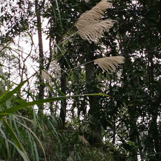 心若不动，风又奈何