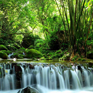 溪山琴况  一曰采  一曰洁  一曰润