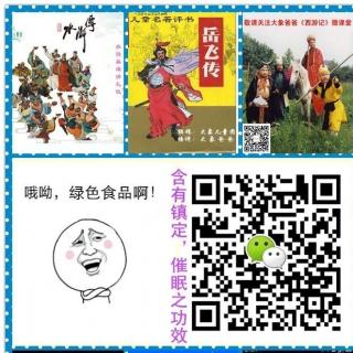 亲子评书《岳飞传》第五十四回——岳雷的眼泪！