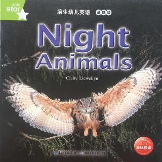 13 Night Animals