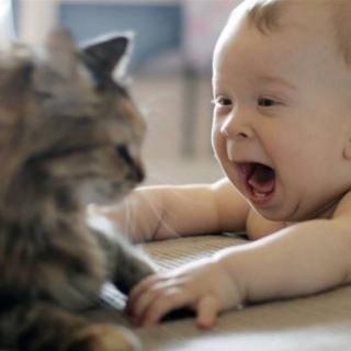 李凯瑞---《宝宝找猫咪》