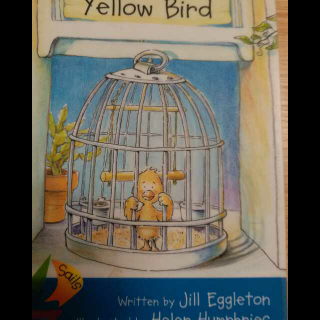 Yellow Bird