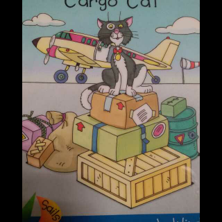 Cargo Cat