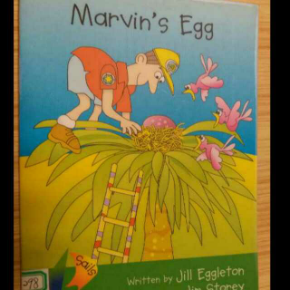 Marvin's Egg