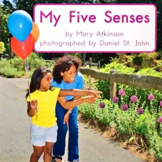 G1 book70 My five senses