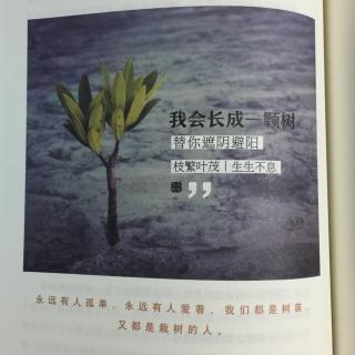 关东野客《栽树的人》