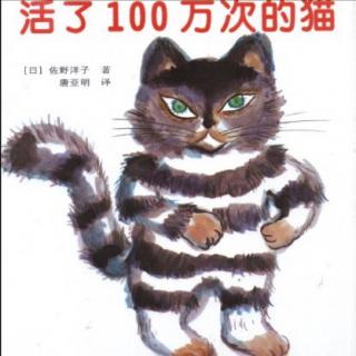 活了一百万次的猫