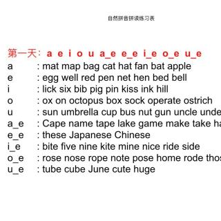 D2:长元音-自然拼读练习