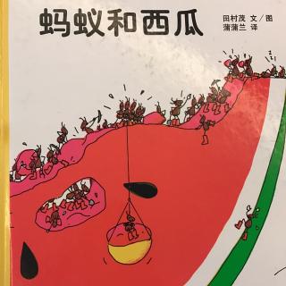 蚂蚁和西瓜