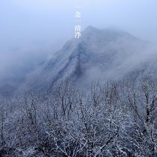 一念心静| 一件事