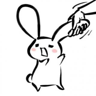 童话里的兔子【19】——小兔子给大兔子的信