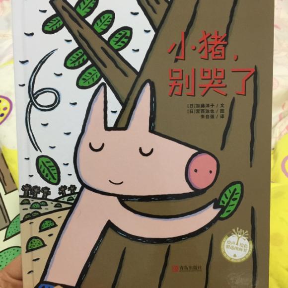 515.小猪别哭了!