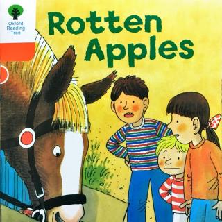 6-8 Rotten apples