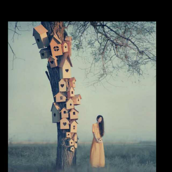 送给为生活正在努力前行的你们!