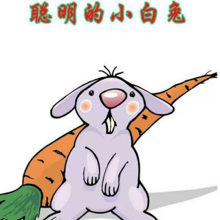 东艺幼儿园晚安故事《聪明的小白兔》