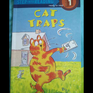 兰登1:cat traps by Coco